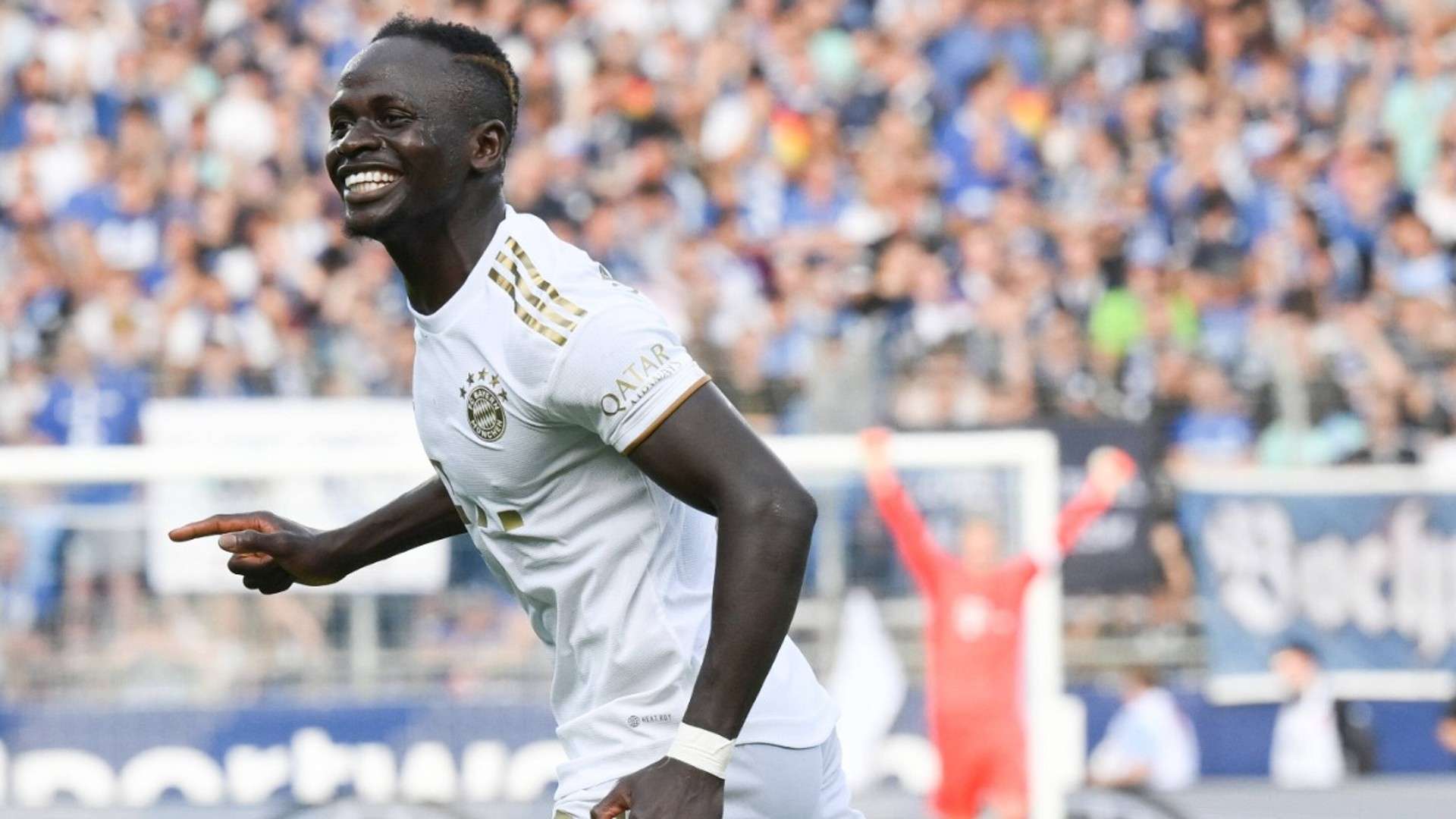 在现代体育 在现代体育