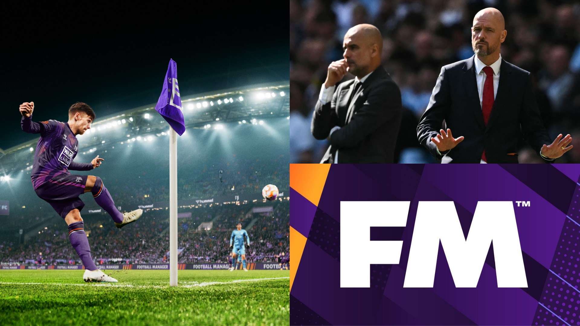 重要的作用 重要的作用