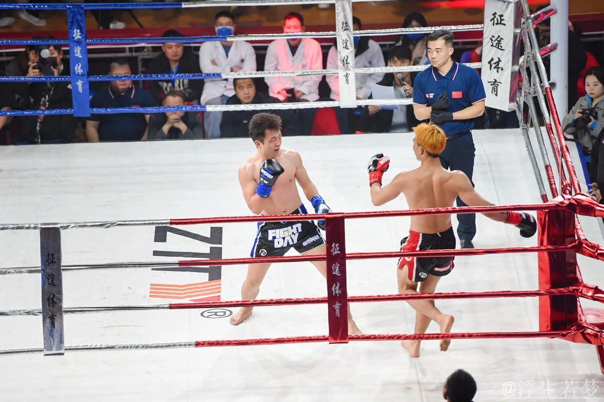 湖南拳击竞技盛典揭幕